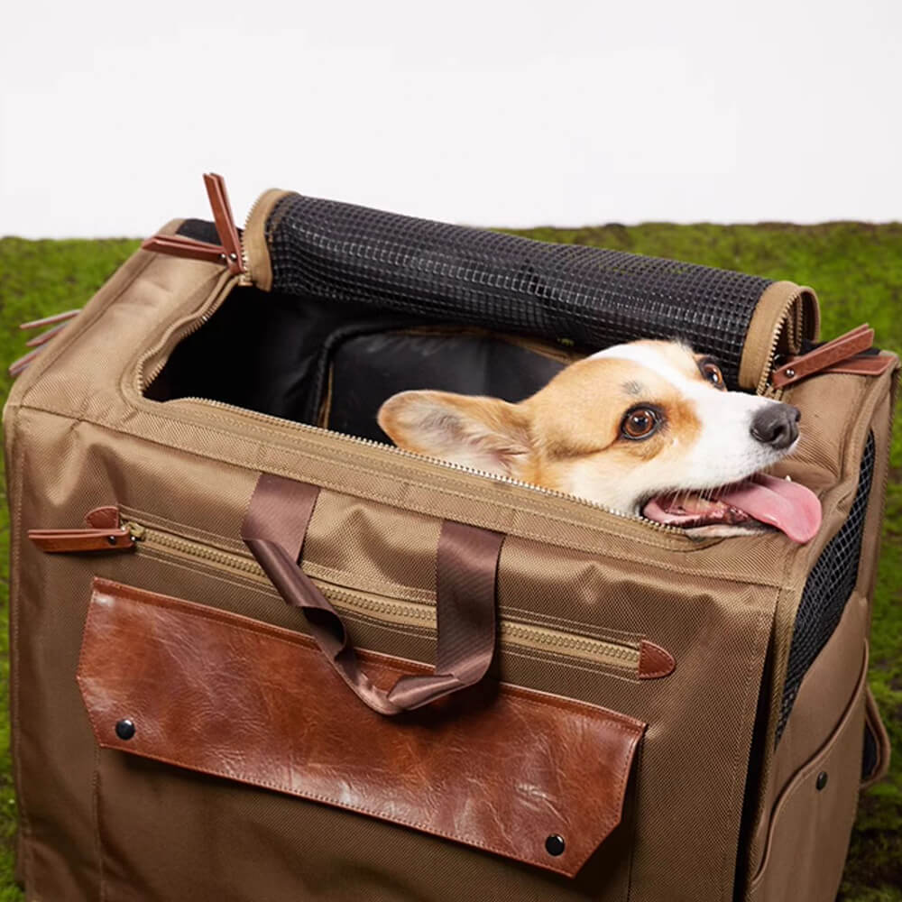 Spazio ampio spazio traspirante in rete impermeabile da viaggio per animali domestici