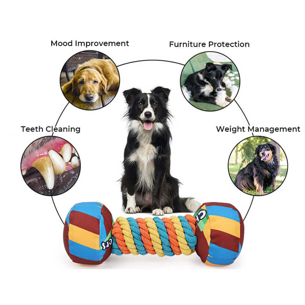 Regenbogen-Hantel, interaktives, quietschendes, langlebiges Seil-Hundespielzeug