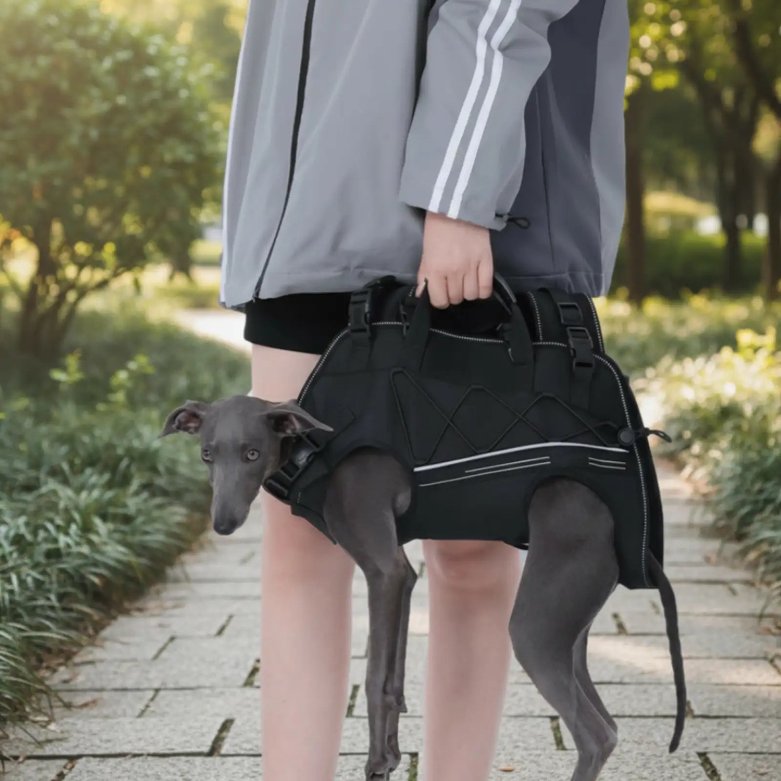 Spine-Friendly Horizontal Dog Backpack Carrier with Adjustable Padded Straps - Legs-Out Comfort