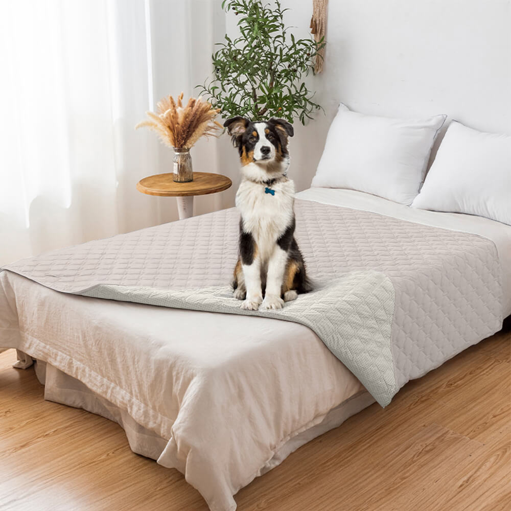 Coperchio di divano per animali trapuntato con diamante impermeabile e non slip-Protezione elegante per mobili
