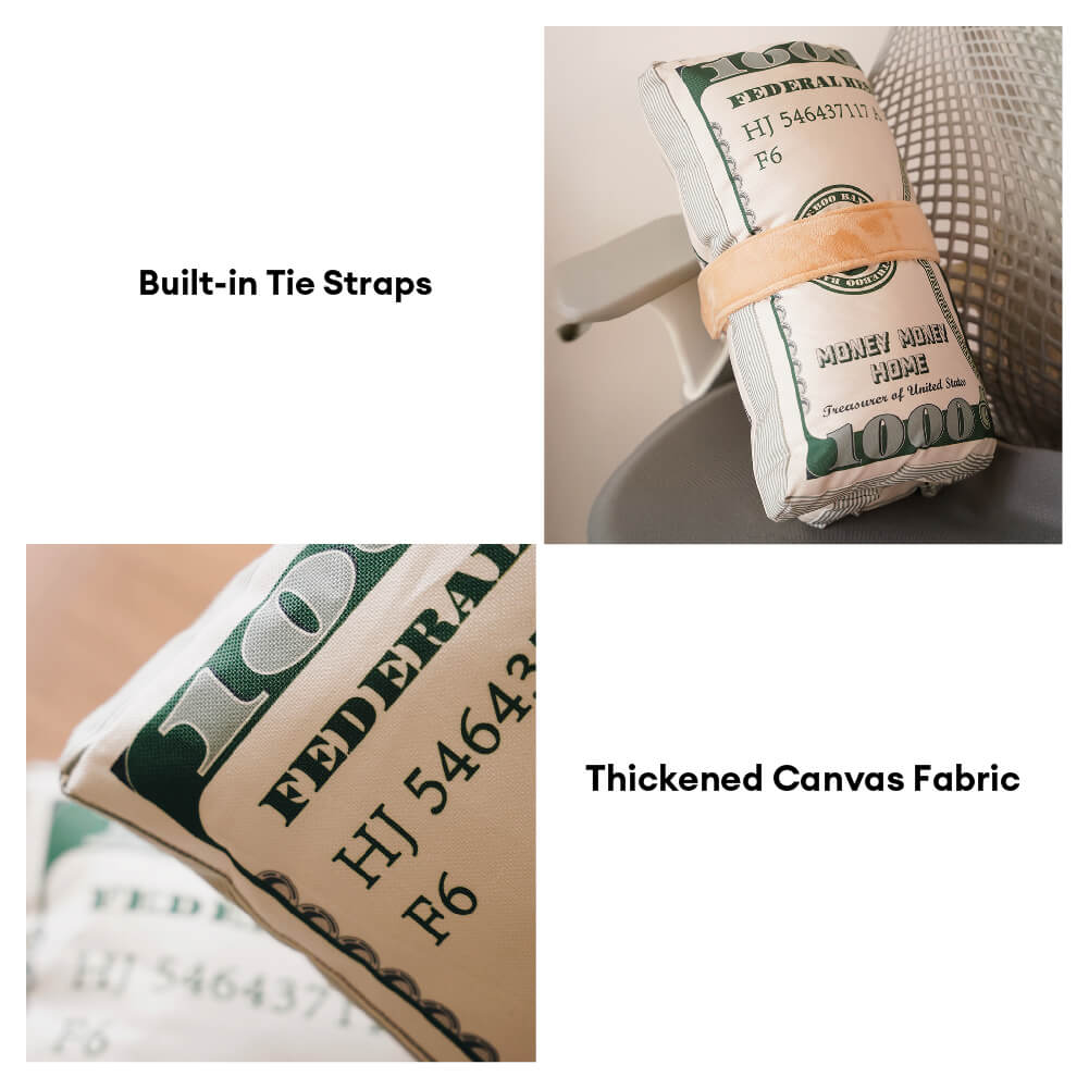 Durable Canvas Money-Themed Cat Bed