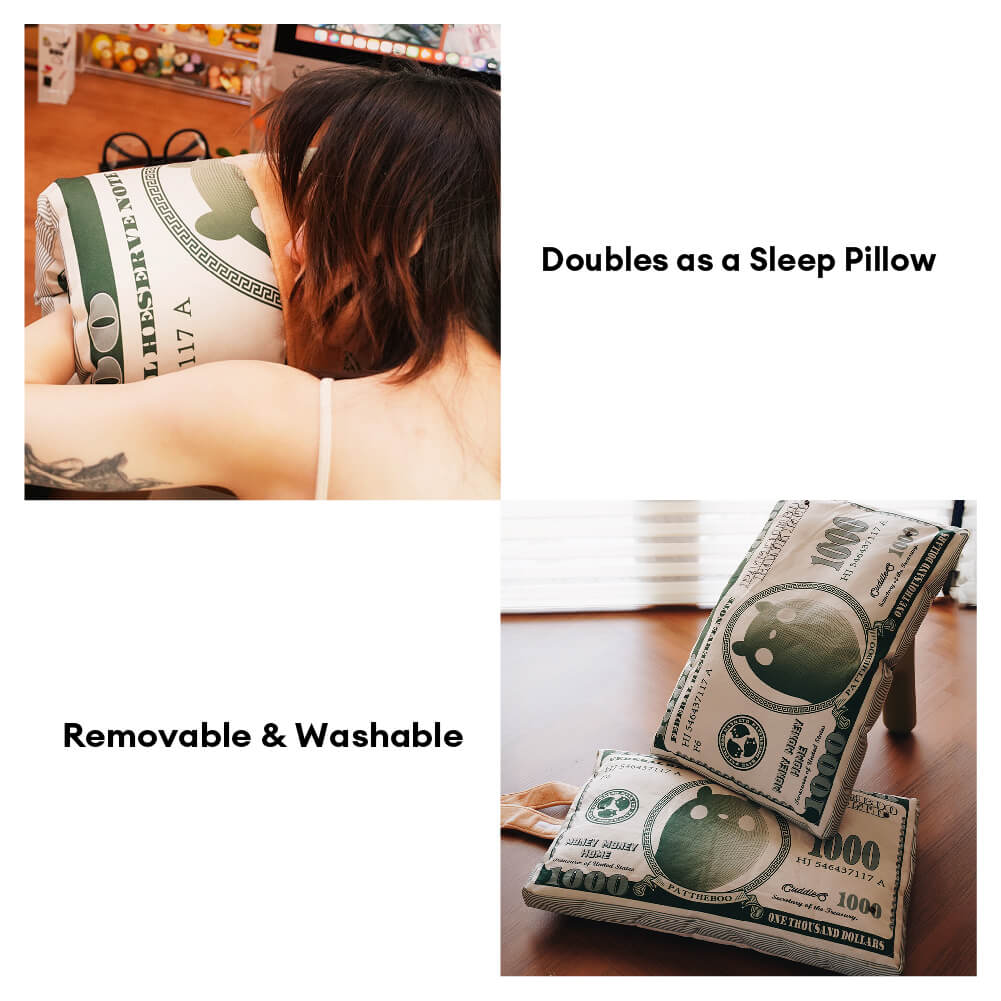 Durable Canvas Money-Themed Cat Bed