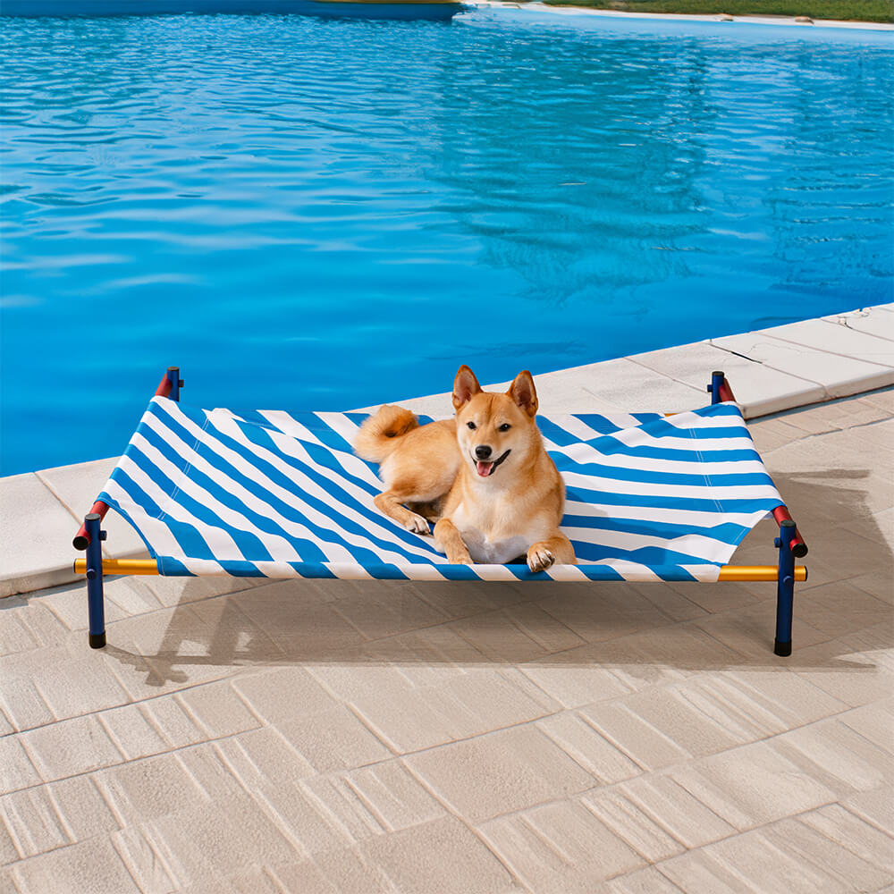 Erhöhtes Hundebett aus Aluminium im lebendigen Sommerdruck-Stil – Sommerparadies