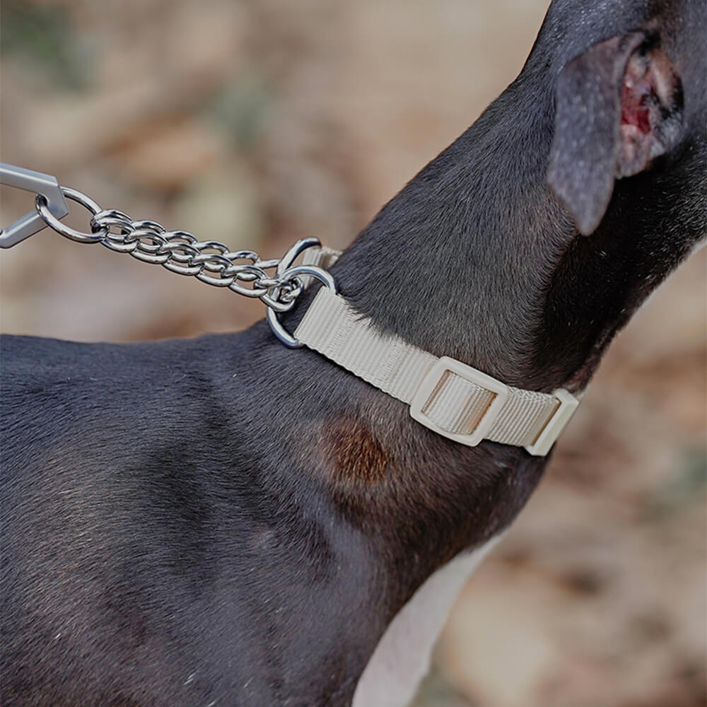Kettenreaktions-Anti-Pull-Martingale-Hundetrainingshalsband