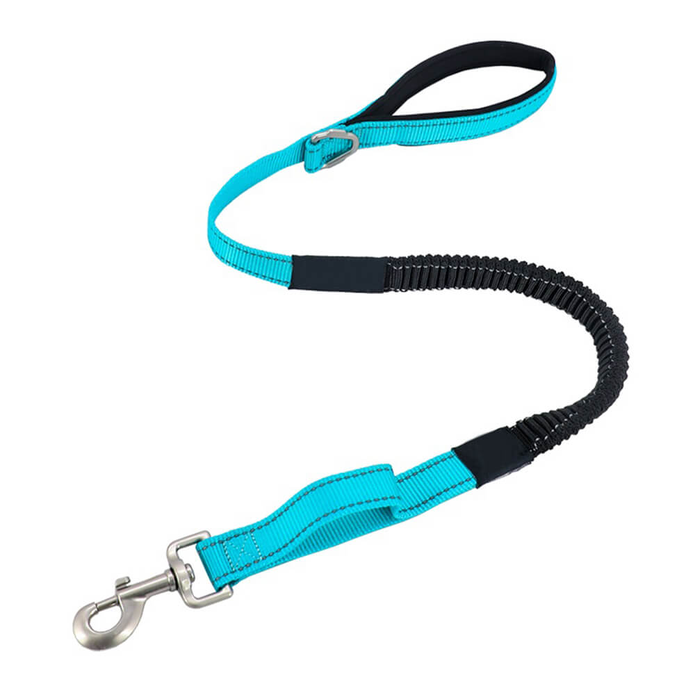 Collar e guinzaglio multifunzionale di cani antipull riflettente