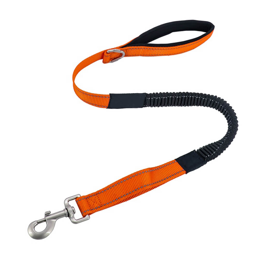 Collar e guinzaglio multifunzionale di cani antipull riflettente