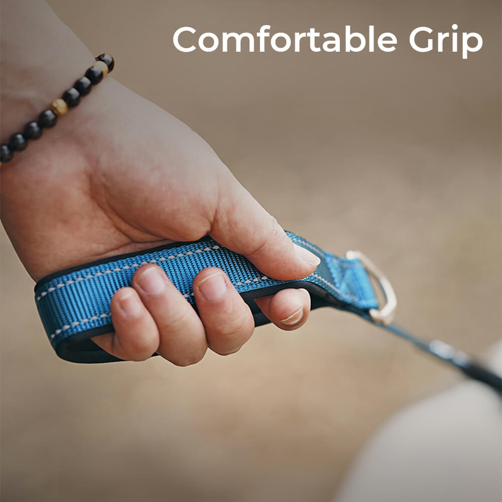 Collar e guinzaglio multifunzionale di cani antipull riflettente