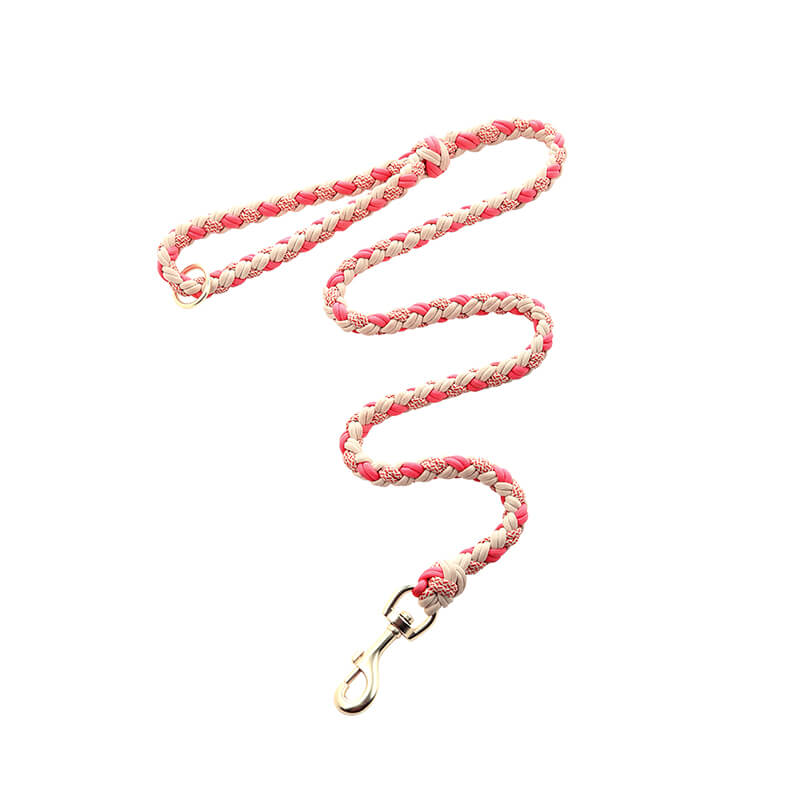 Ensemble collier et laisse pour chien anti-traction multifonctionnel en cuir tissé à la main