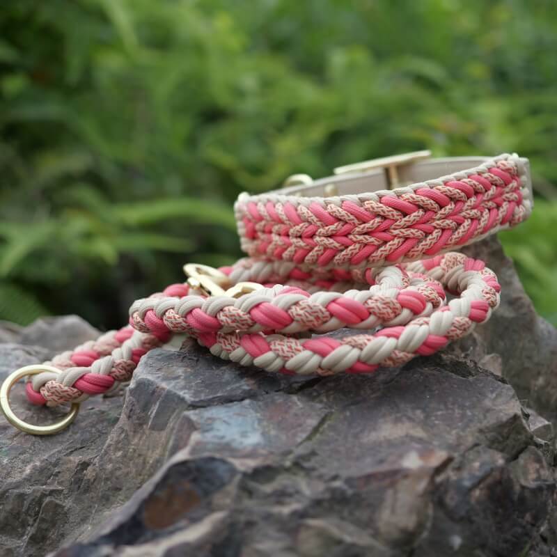 Ensemble collier et laisse pour chien anti-traction multifonctionnel en cuir tissé à la main
