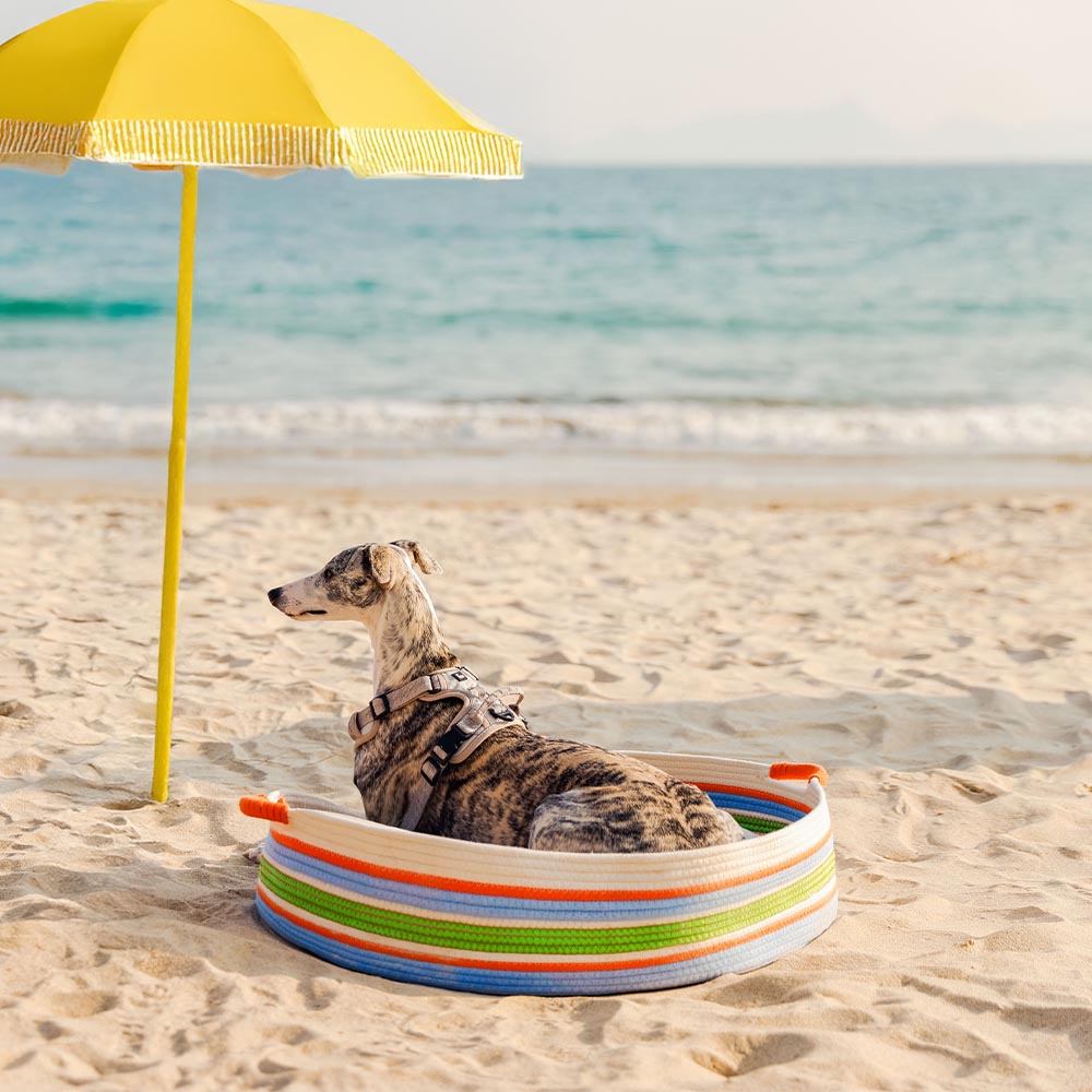 Stripe a mano Calmante PET COMMERCIALE - NESTRE Senza tempori