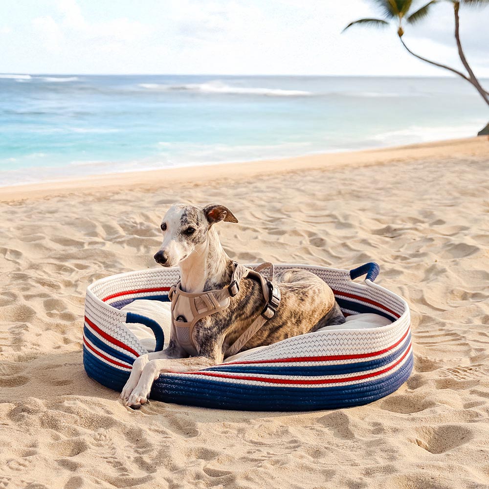Stripe a mano Calmante PET COMMERCIALE - NESTRE Senza tempori