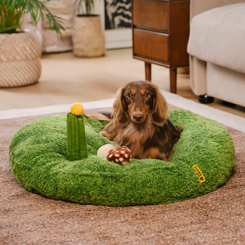 Jungle Explorer 2 en 1 Funny Plush Pet Bed - Parque natural