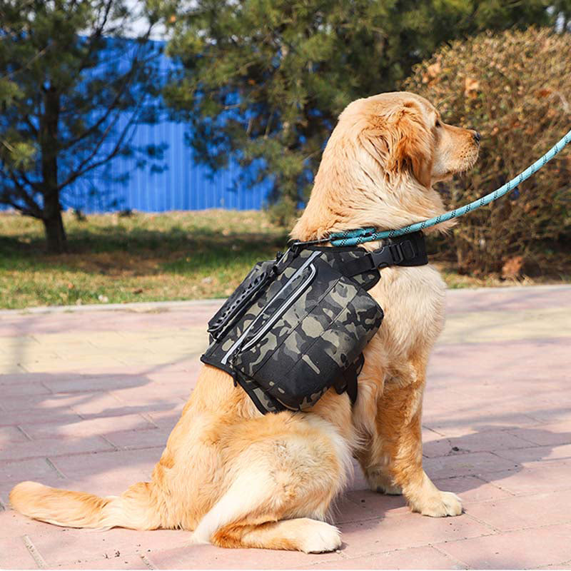 Cani di grosso cani tattica imbracatura del cane