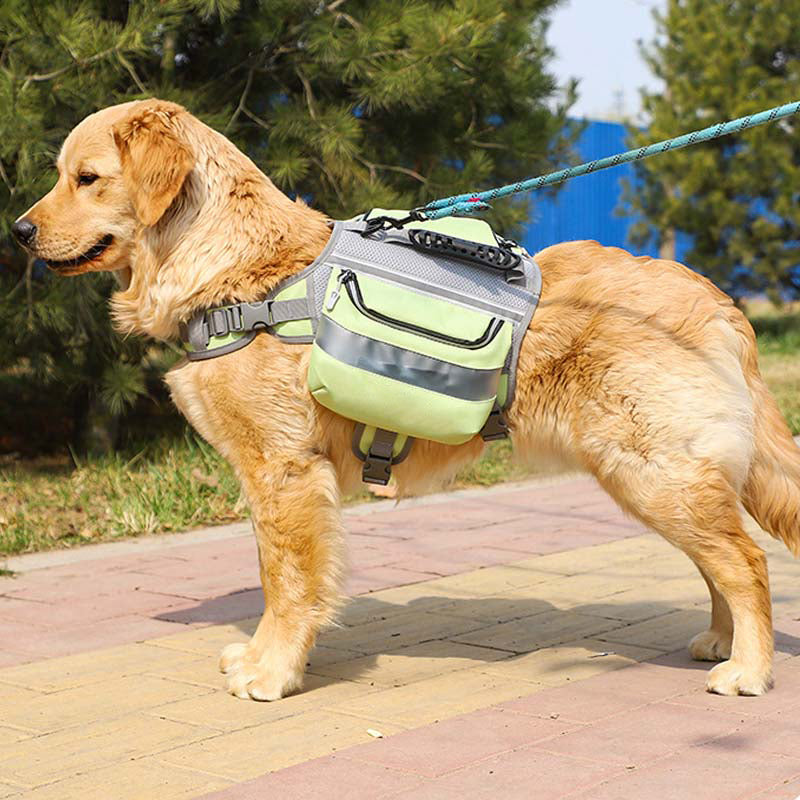 Cani di grosso cani tattica imbracatura del cane