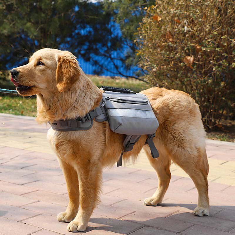 Cani di grosso cani tattica imbracatura del cane