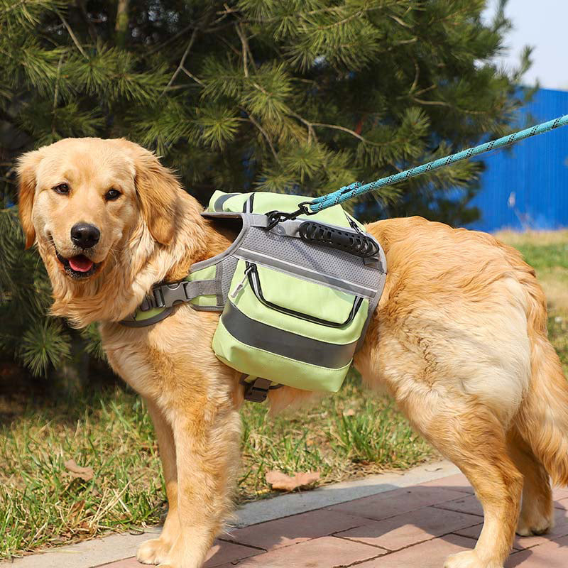 Cani di grosso cani tattica imbracatura del cane