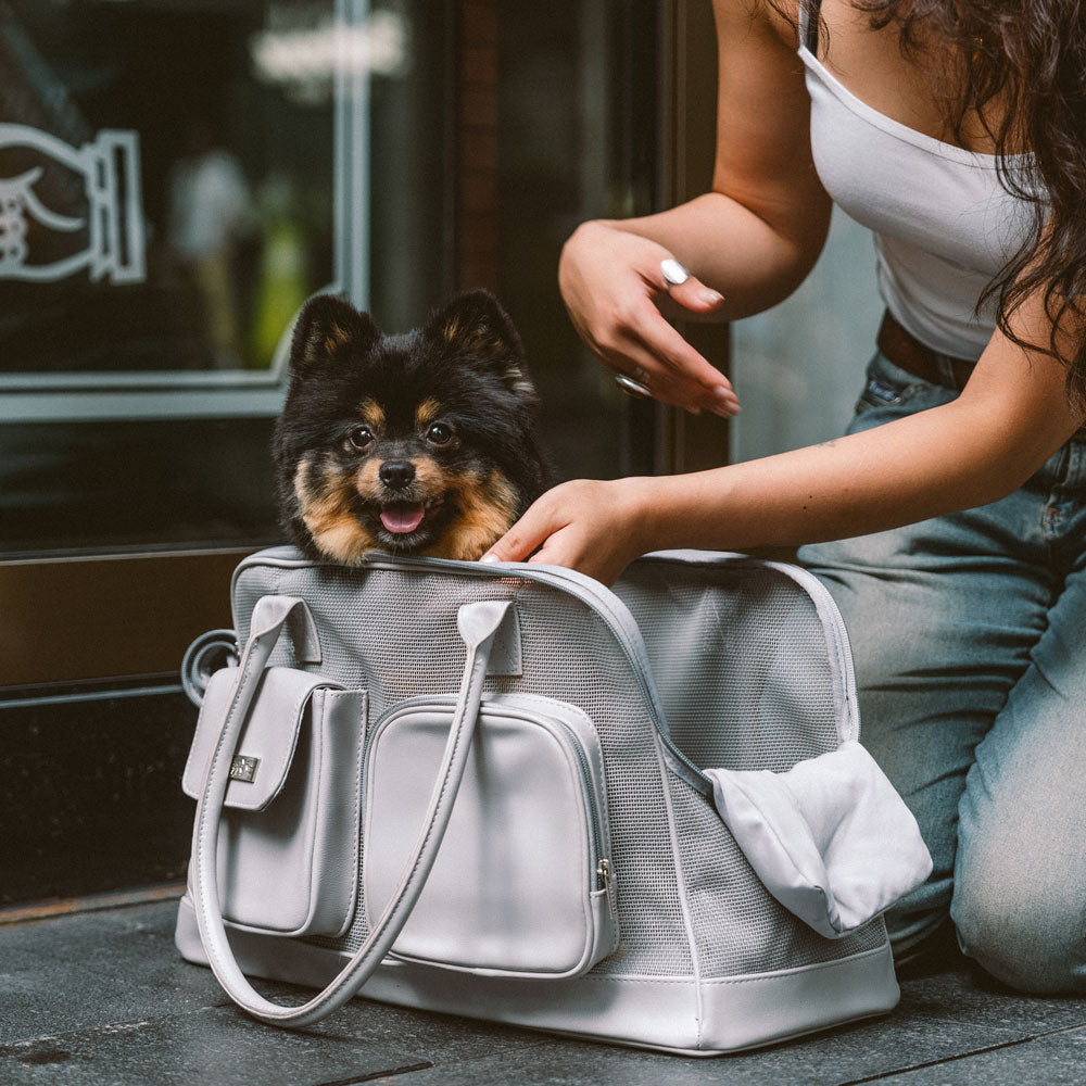 Vettore di animali domestici in rete traspirante leggero - facilità urbana