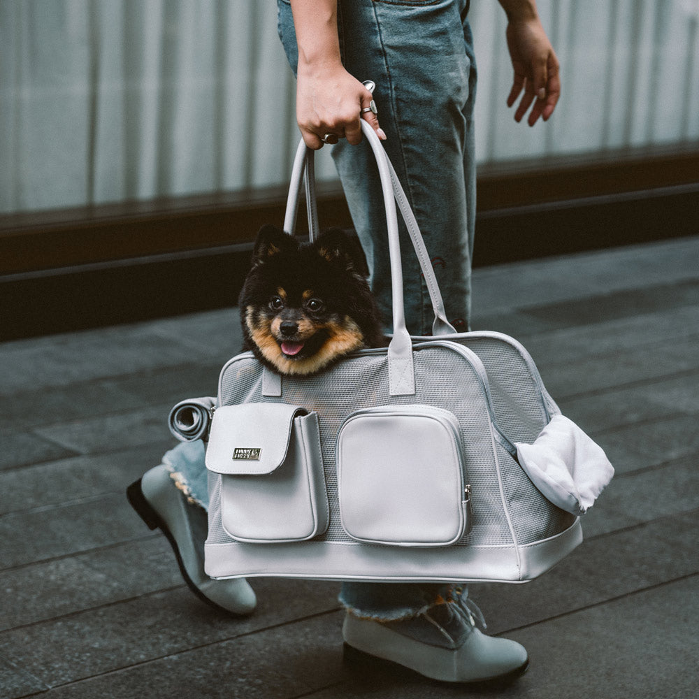 Vettore di animali domestici in rete traspirante leggero - facilità urbana