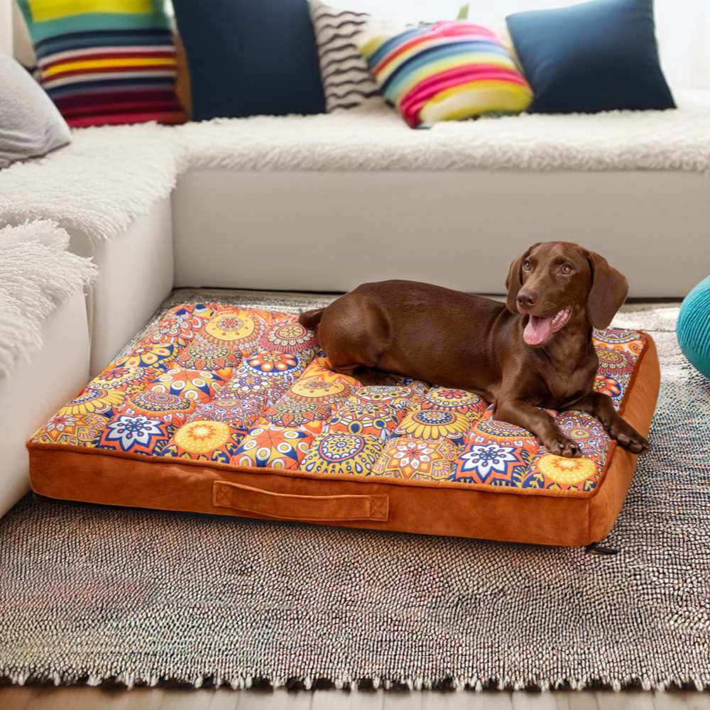 Marokkanisches, voll stützendes, verdicktes, bequemes, orthopädisches Hundebett mit Kissen