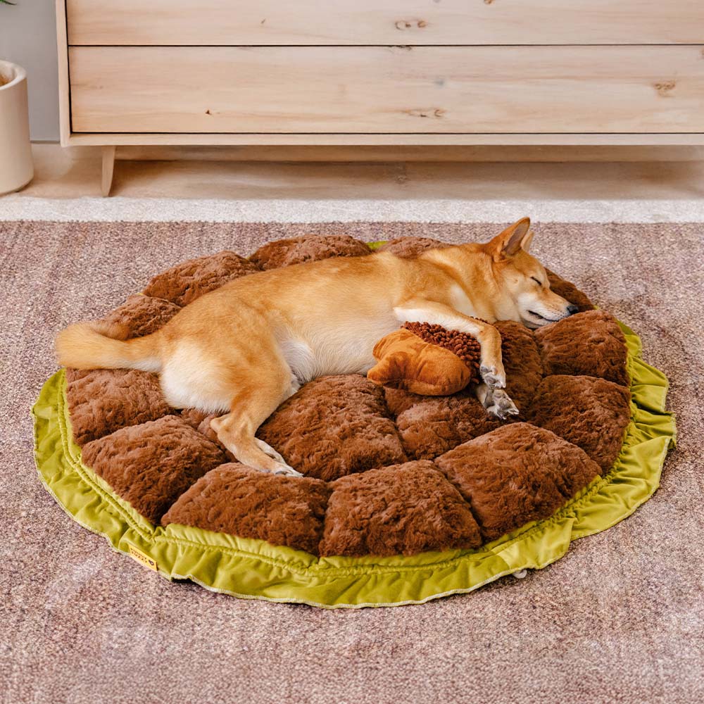 Letto per cani calmante regolabile ispirato alla natura - nido di peluche