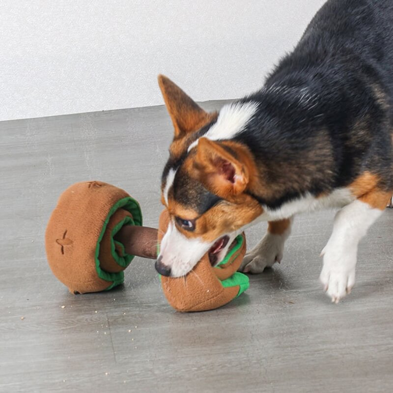 Puzzle Food Dispenser Interactive Dumbbell Treat juguete