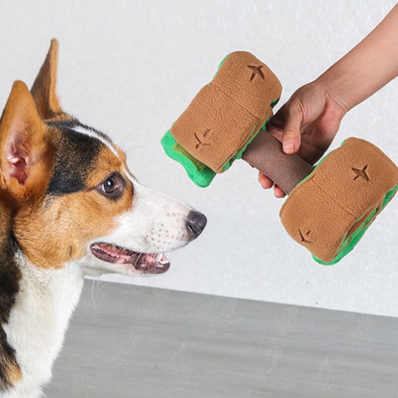 Puzzle Food Dispenser Interactive Dumbbell Treat juguete