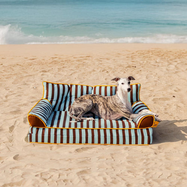 Stripe Implorabile di divano di cani grande pieghevole - Sunny Siesta