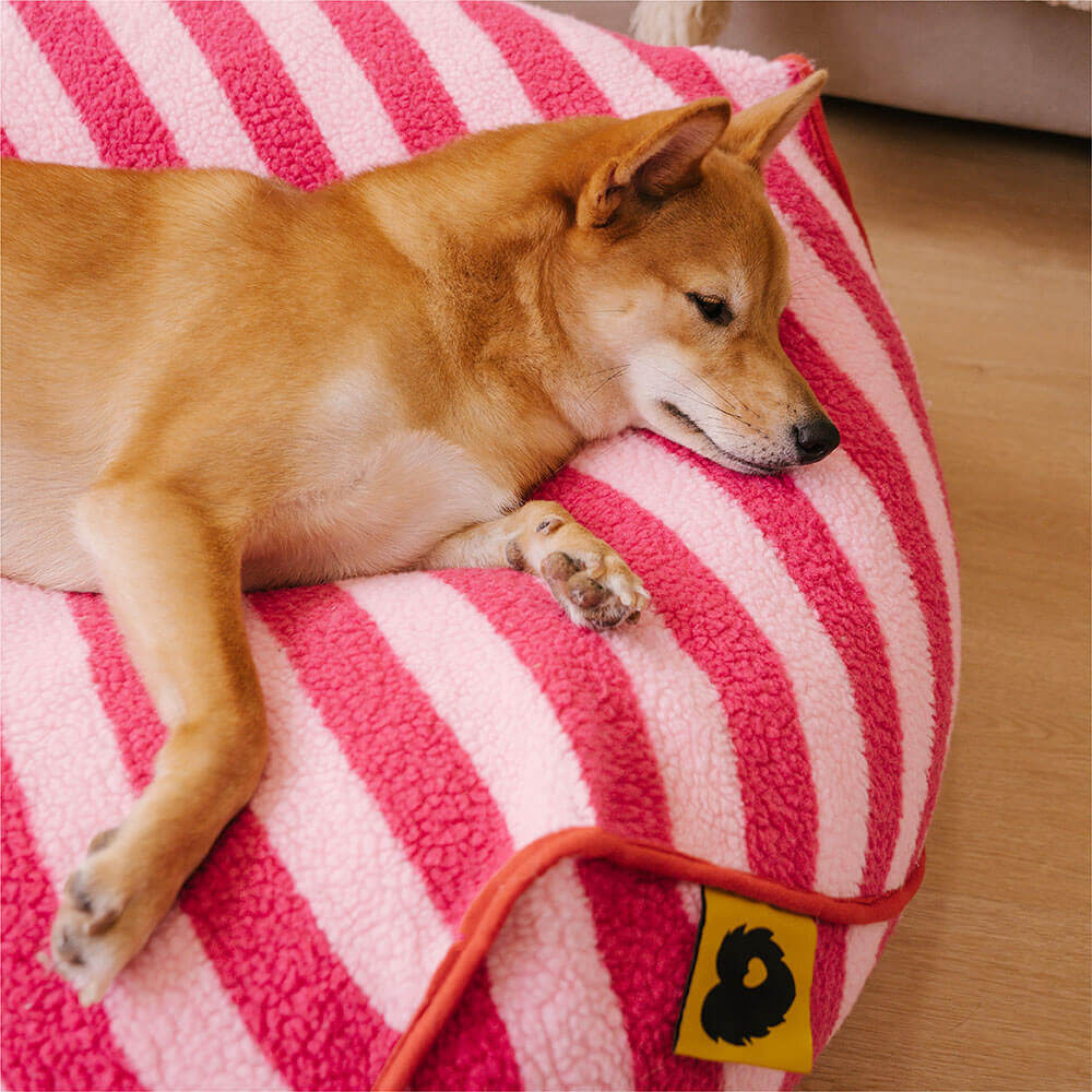 Modello a strisce alla moda Polygonal Cogoning Bean Bag Dog
