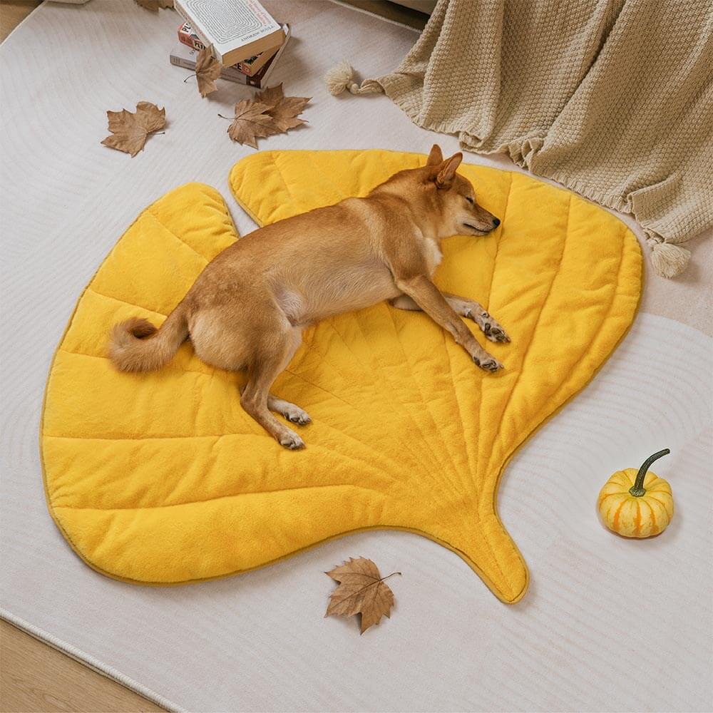Peluche tappetino per cani lavabili a forma di foglia-foglia-il collettore di foglie