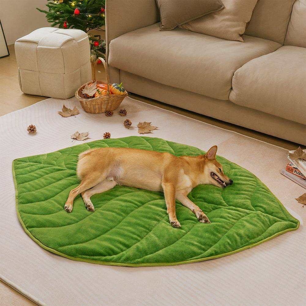 Peluche tappetino per cani lavabili a forma di foglia-foglia-il collettore di foglie