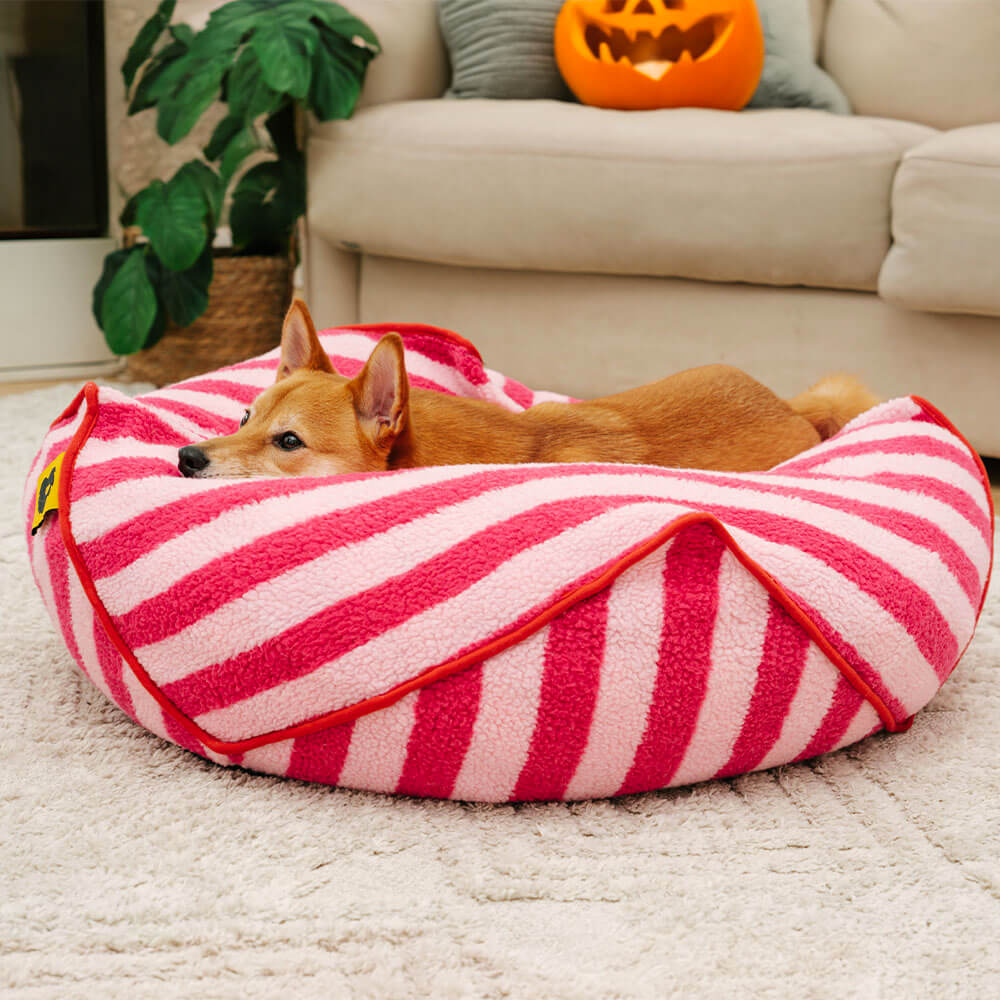 Modello a strisce alla moda Polygonal Cogoning Bean Bag Dog
