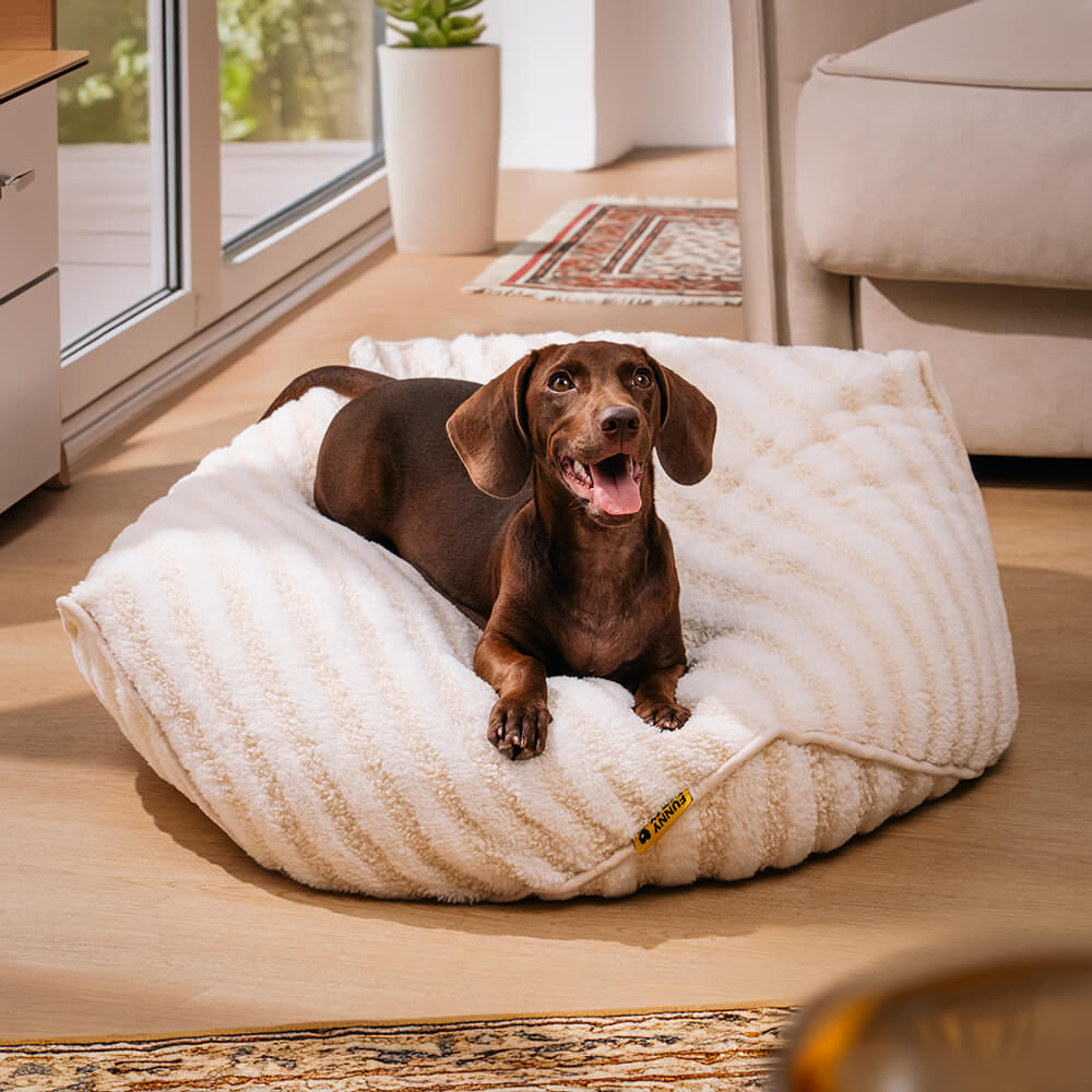 Modello a strisce alla moda Polygonal Cogoning Bean Bag Dog