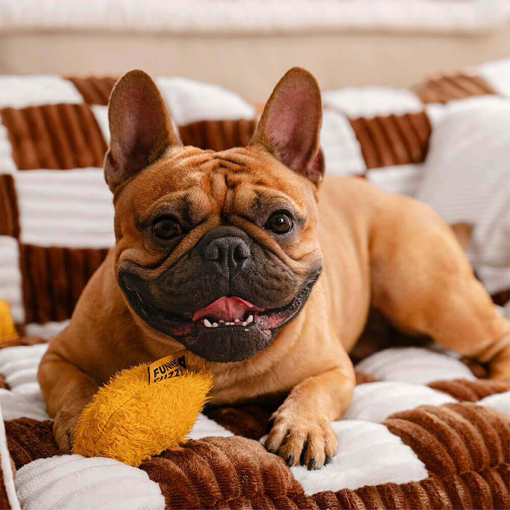 Vintage Schachbrett-Sofa mit orthopädischer Unterstützung, extra großes Hundesofa – King's Sofa