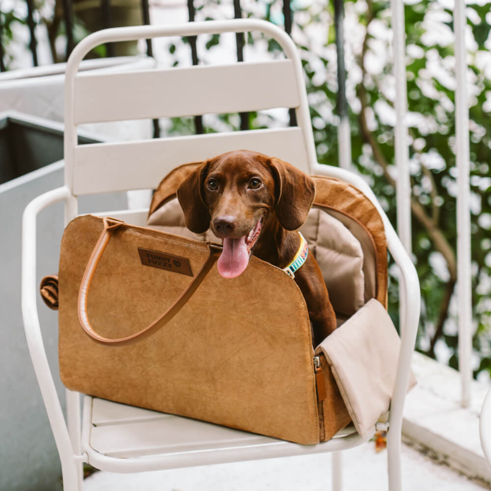 Vogue Eco-friendly Multi-Functional Pet Travel Bag-City Roamer