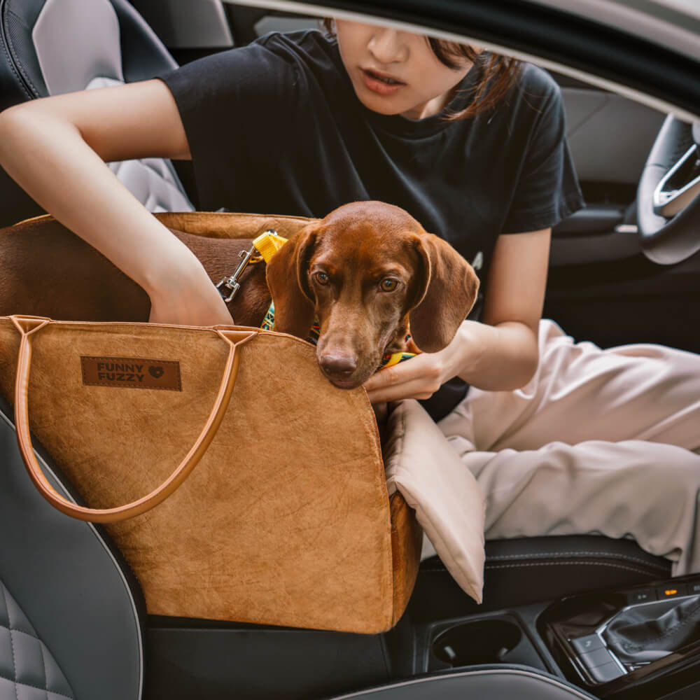 Vogue Eco-friendly Multi-Functional Pet Travel Bag-City Roamer