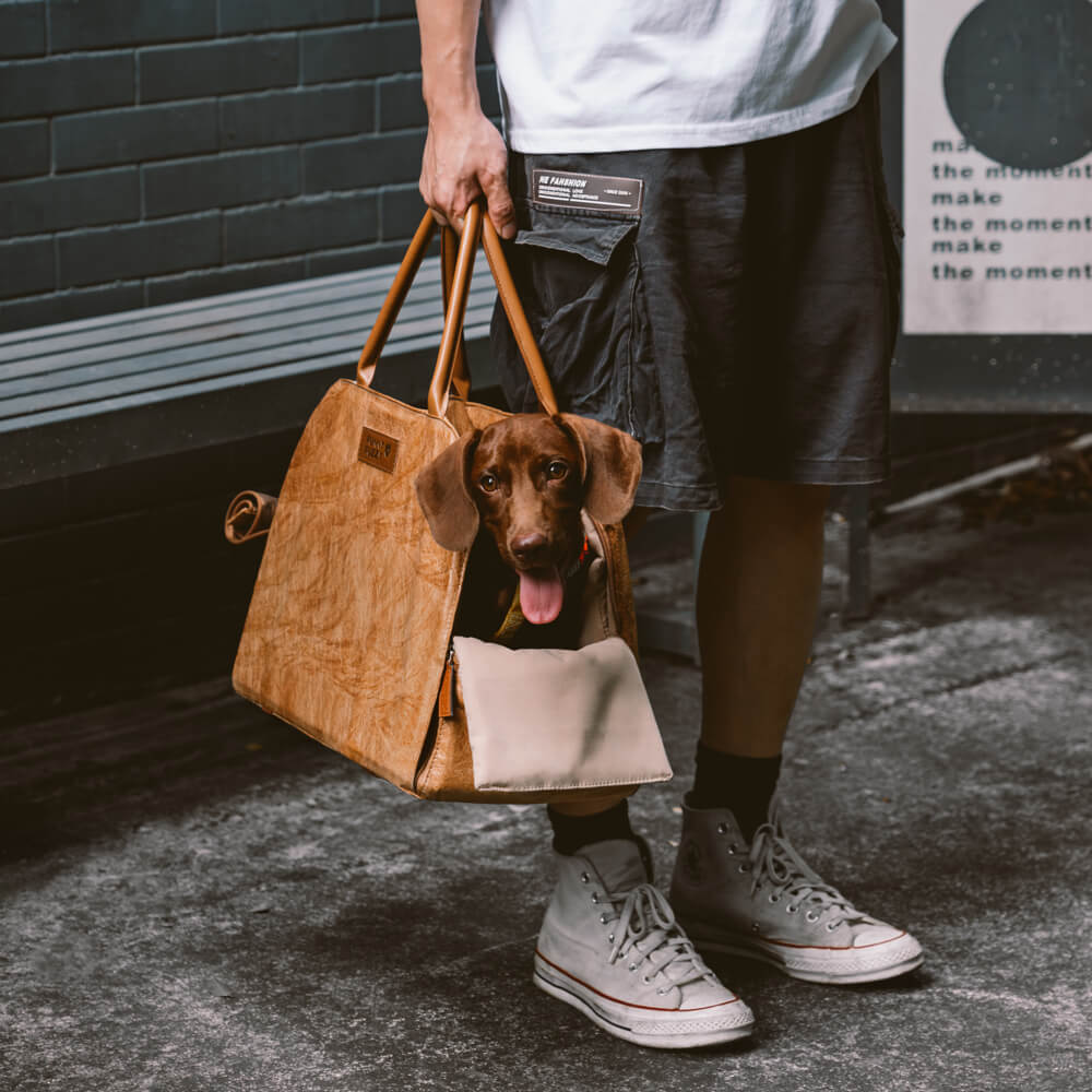 Vogue Eco-friendly Multi-Functional Pet Travel Bag-City Roamer