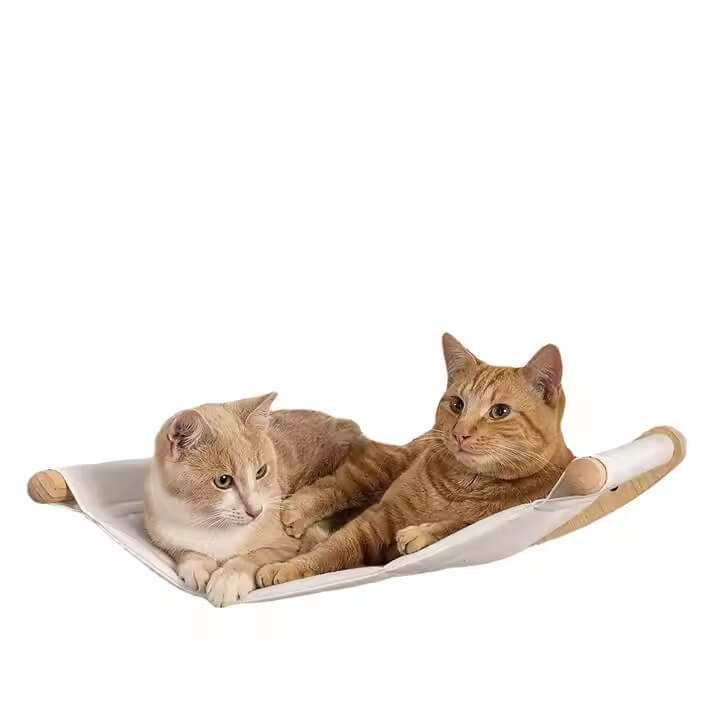 Accape da gatto montato a parete amaca da gatto con gradini