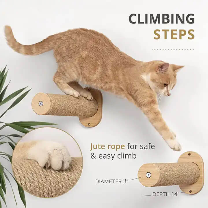 Accape da gatto montato a parete amaca da gatto con gradini