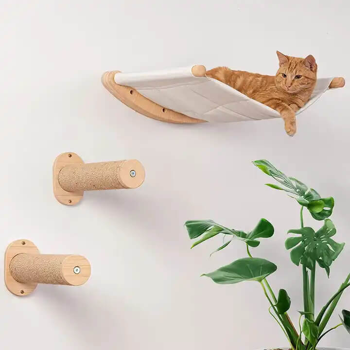 Accape da gatto montato a parete amaca da gatto con gradini