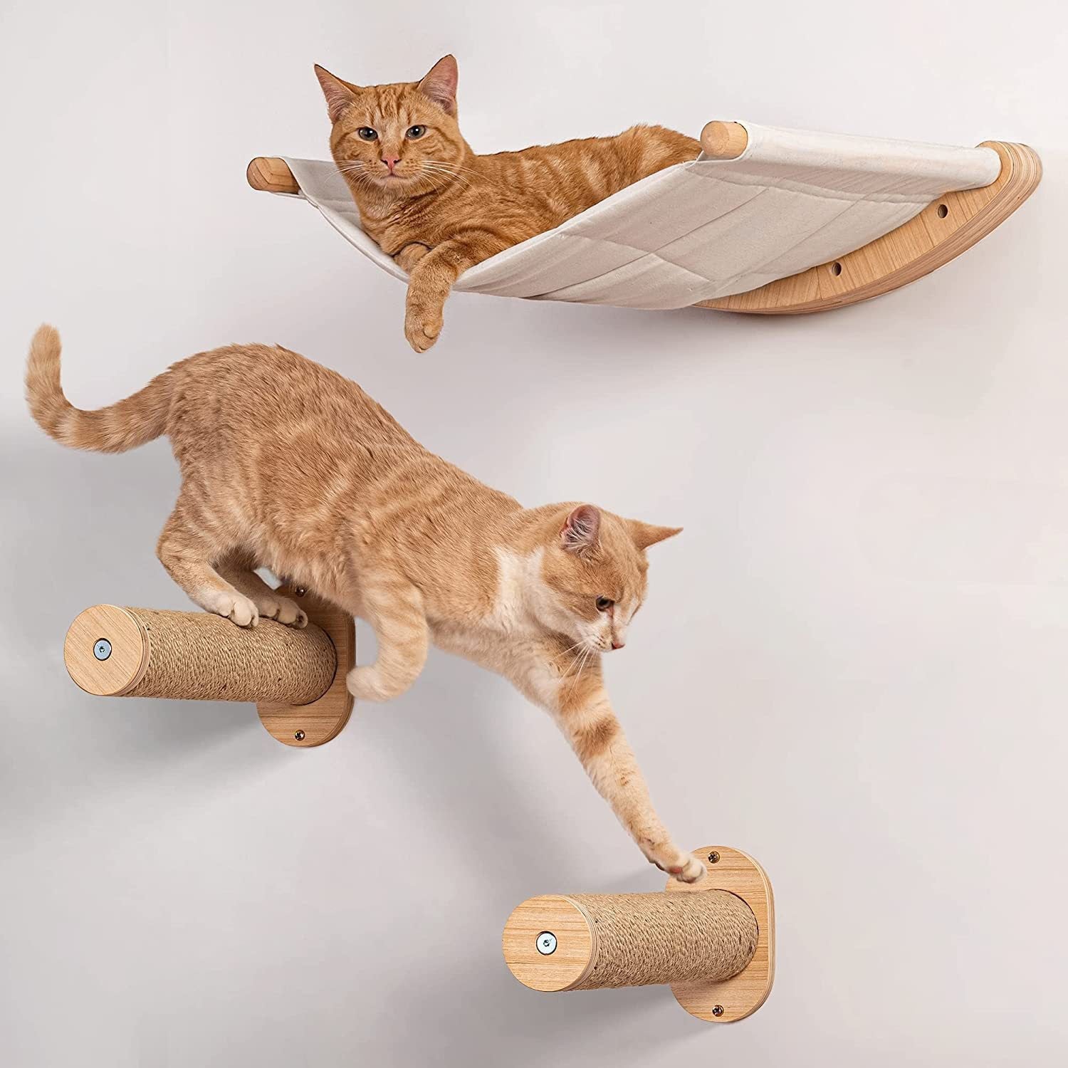 Accape da gatto montato a parete amaca da gatto con gradini