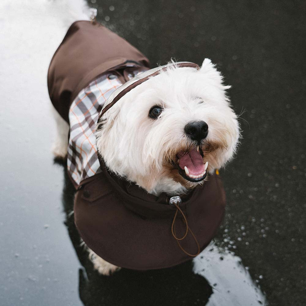 Imperméable réglable à carreaux vintage pour chien - Protection contre les intempéries