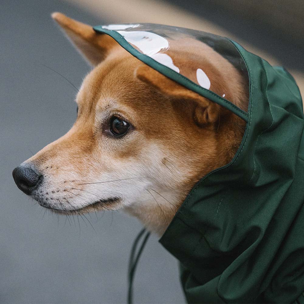 Imperméable réglable à carreaux vintage pour chien - Protection contre les intempéries