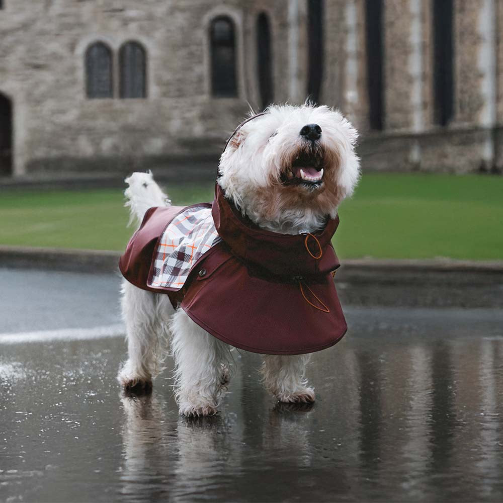 Imperméable réglable à carreaux vintage pour chien - Protection contre les intempéries