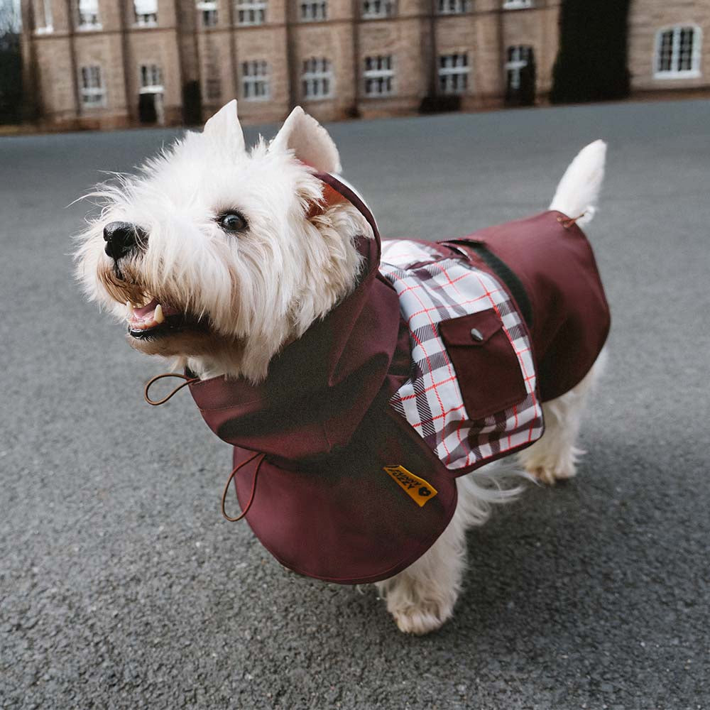 Imperméable réglable à carreaux vintage pour chien - Protection contre les intempéries