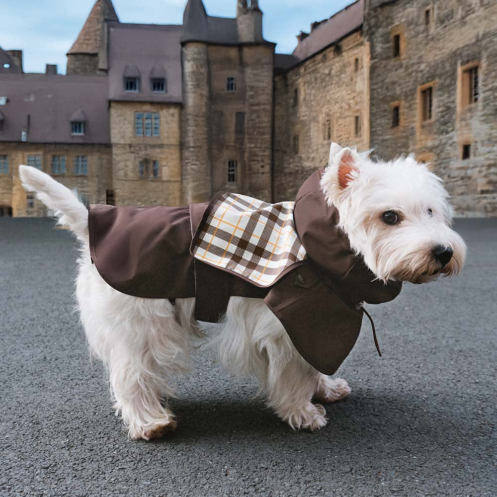 Imperméable réglable à carreaux vintage pour chien - Protection contre les intempéries