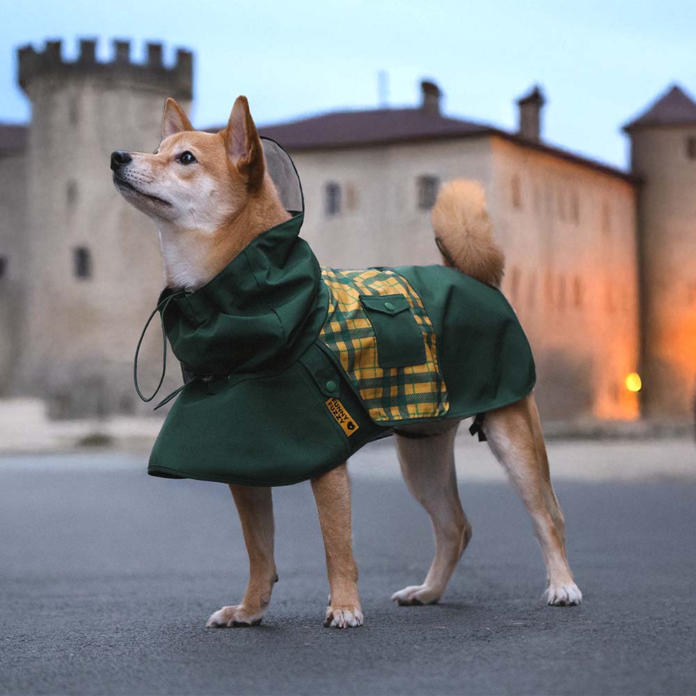 Imperméable réglable à carreaux vintage pour chien - Protection contre les intempéries