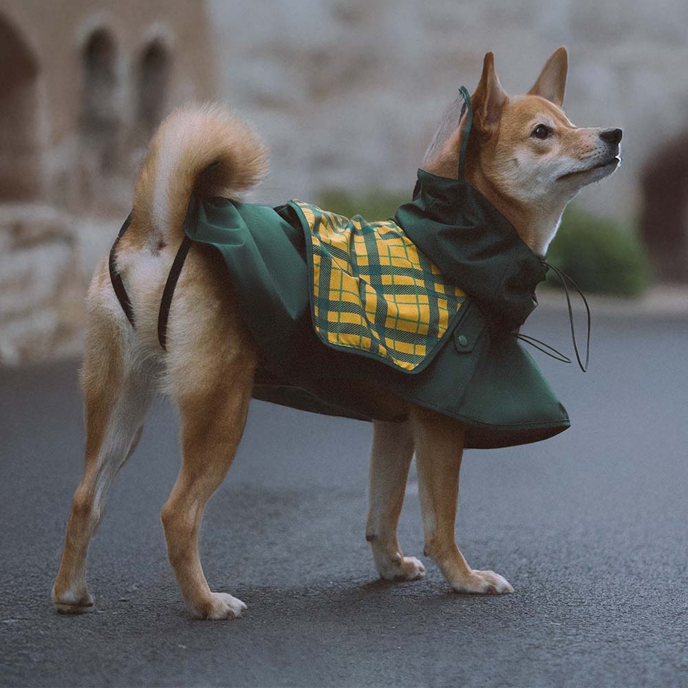 Imperméable réglable à carreaux vintage pour chien - Protection contre les intempéries