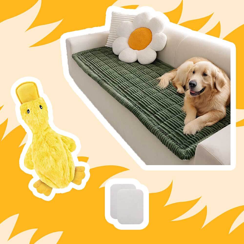 Mascotas suaves perezosas en el paquete de casa - 14pcs