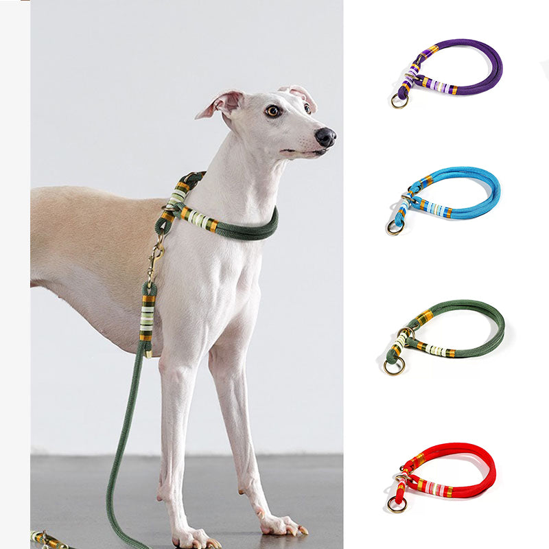 Corda intrecciata a mano senza tirare cool cool cool ad addestramento