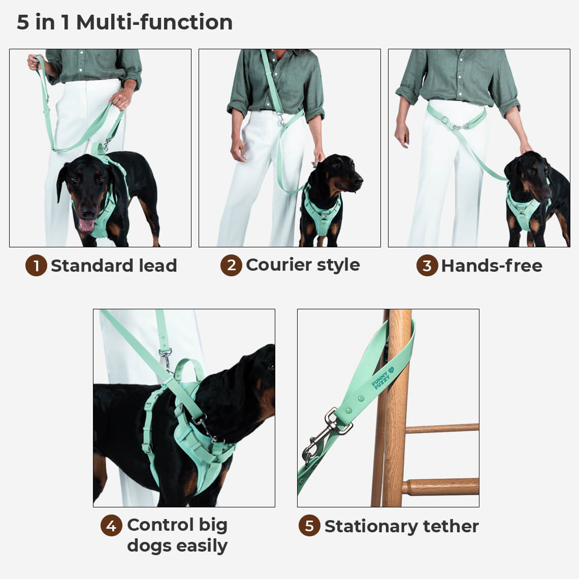 Ensemble de promenade d'accessoires pour chiens Gummy Cool
